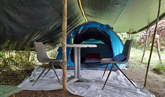 3 Rivers & Rosalie Forest Eco Lodge