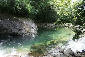 3 Rivers & Rosalie Forest Eco Lodge