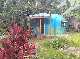 3 Rivers & Rosalie Forest Eco Lodge
