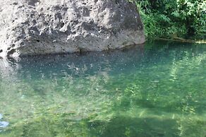 3 Rivers & Rosalie Forest Eco Lodge