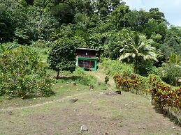 3 Rivers & Rosalie Forest Eco Lodge