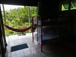 3 Rivers & Rosalie Forest Eco Lodge