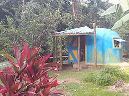 3 Rivers & Rosalie Forest Eco Lodge