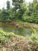 3 Rivers & Rosalie Forest Eco Lodge