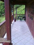 3 Rivers & Rosalie Forest Eco Lodge