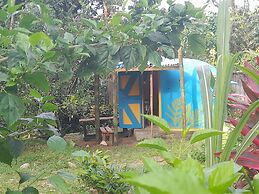 3 Rivers & Rosalie Forest Eco Lodge