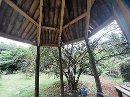 3 Rivers & Rosalie Forest Eco Lodge