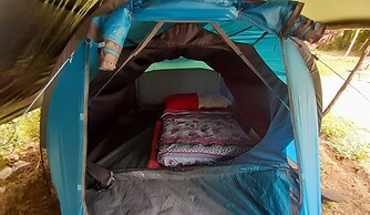 3 Rivers & Rosalie Forest Eco Lodge