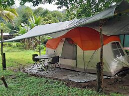 3 Rivers & Rosalie Forest Eco Lodge