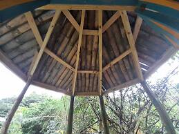 3 Rivers & Rosalie Forest Eco Lodge
