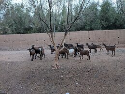 Dar Alfourssane ferme d'hote