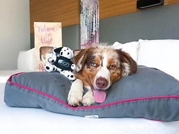 Aloft Durham Downtown