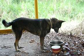 Nine Aboriginal B&B