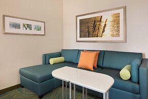 SpringHill Suites Tuscaloosa by Marriott