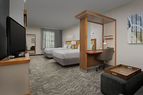 SpringHill Suites Tuscaloosa by Marriott