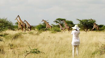 Maasai Simba Camp