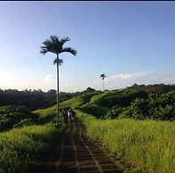 Green View Private Villas