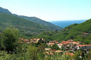 Farfalle E Gabbiani