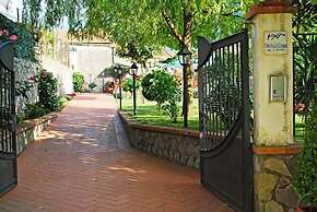 Farfalle E Gabbiani