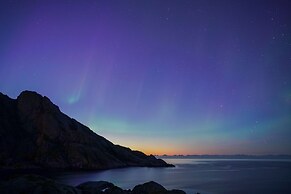 Lofoten Cottages