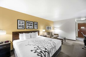 Sleep Inn & Suites Carlsbad Caverns Area