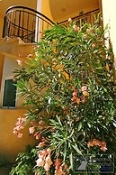 Monachus Monachus Apartments