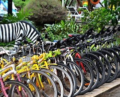 Jambuluwuk Oceano Resort Gili Trawangan