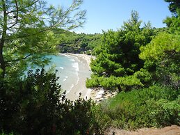 Alonissos Beach Bungalows & Suites Hotel