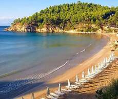 Alonissos Beach Bungalows & Suites Hotel