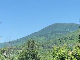 Antique Rose Inn Windham