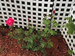 Antique Rose Inn Windham