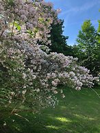 Antique Rose Inn Windham