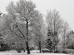 Antique Rose Inn Windham