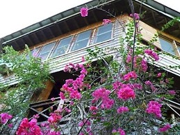 Roatan Bed & Breakfast Apartments