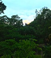 Roatan Bed & Breakfast Apartments