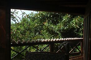 Roatan Bed & Breakfast Apartments