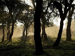 Casa Babel Monfragüe