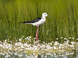 Casa Babel Monfragüe