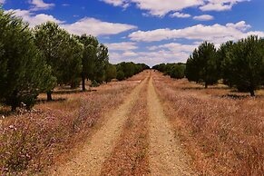 Sesmarias Turismo Rural & SPA