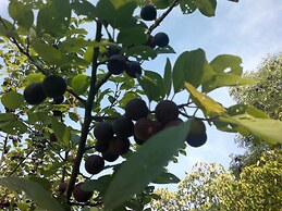 Hotel Stallbacken Nagu