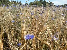 Hotel Stallbacken Nagu