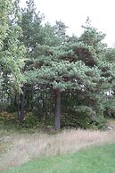 Hotel Stallbacken Nagu