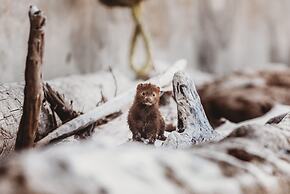 The Oceanfront Hotel