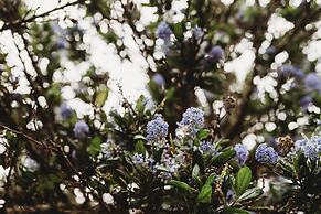 The Oceanfront Hotel