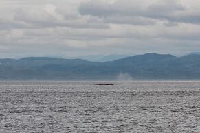The Oceanfront Hotel
