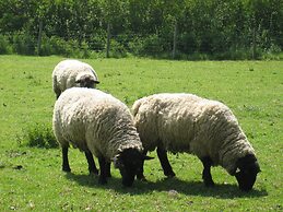 Colston Hall Cottages