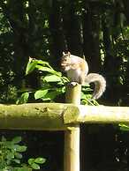 Colston Hall Cottages
