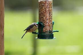 Colston Hall Cottages