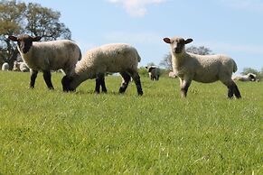 Colston Hall Cottages