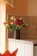 Colston Hall Cottages